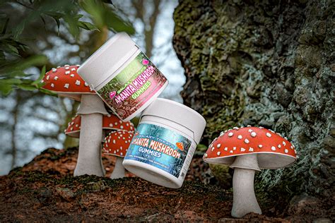 Are Magic Mushroom Gummies the Future of Psychedelic Therapy?